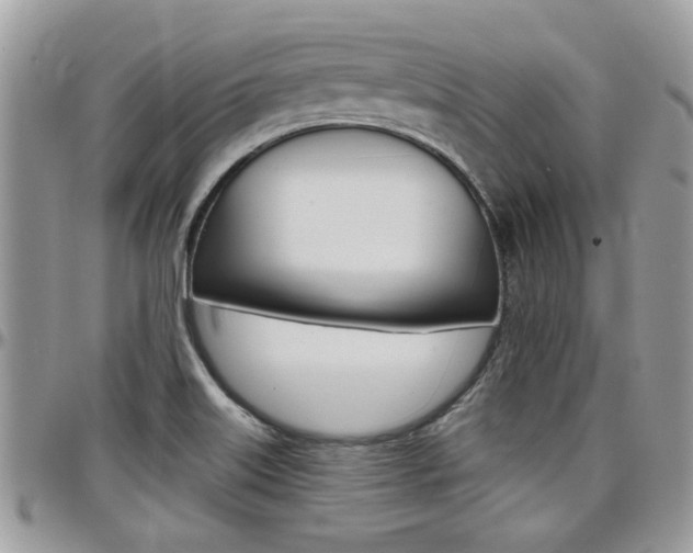X0000097971515200803241007