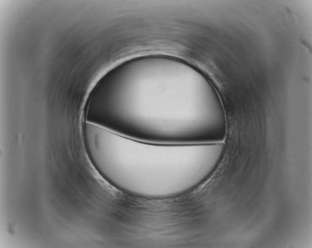 X0000097971516200803241008