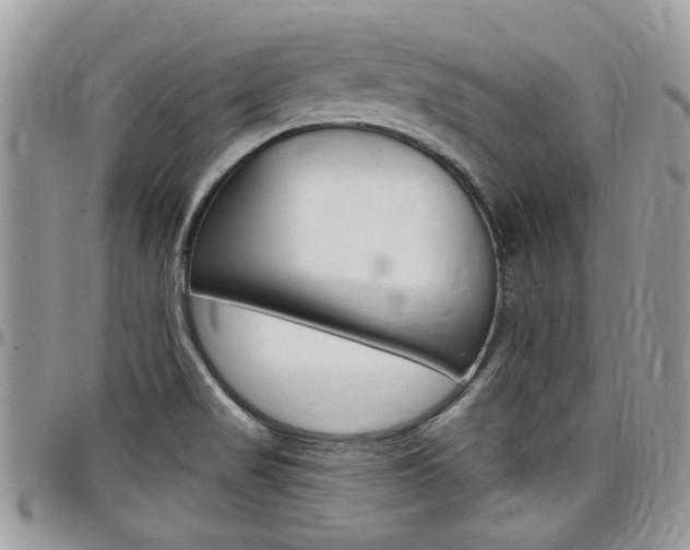 X0000097971517200803241008