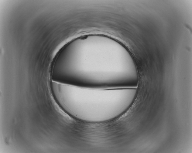 X0000097971518200803241008