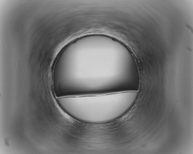 X0000097971519200803241008