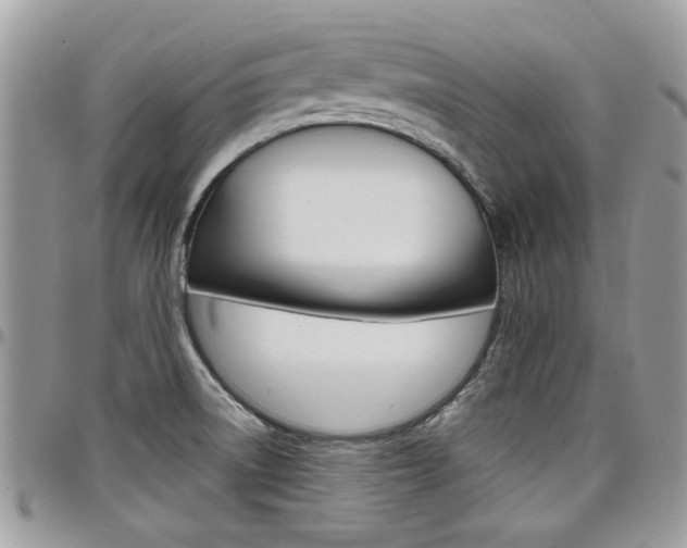 X0000097971522200803241008