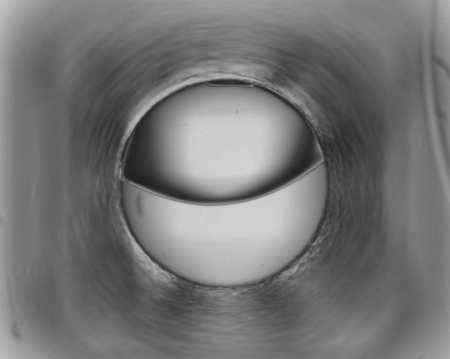 X0000097971524200803241008