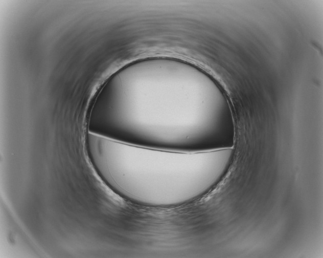 X0000097971525200803241008