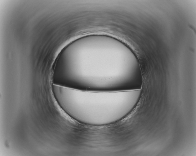 X0000097971526200803241008
