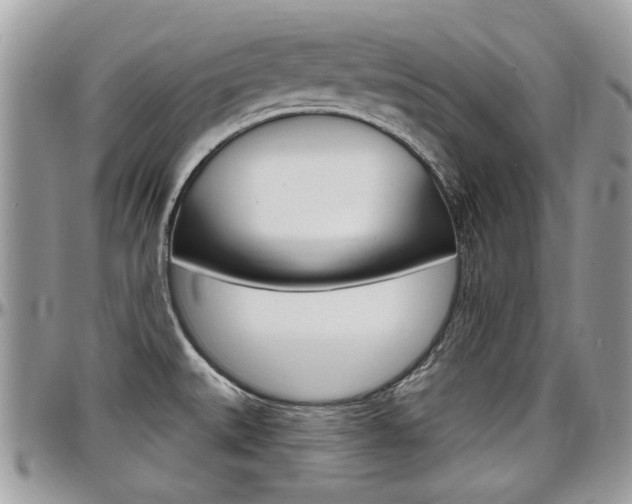 X0000097971527200803241008