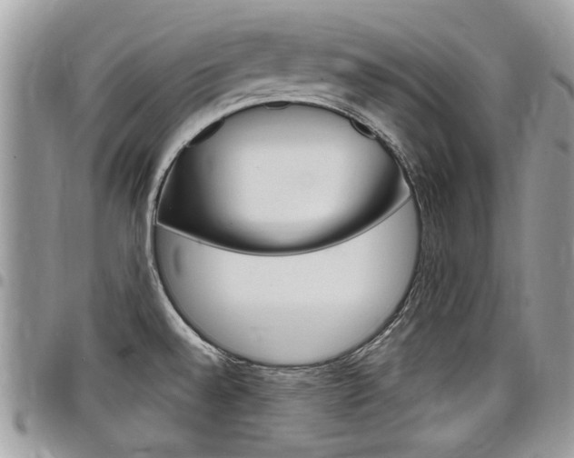 X0000097971528200803241008