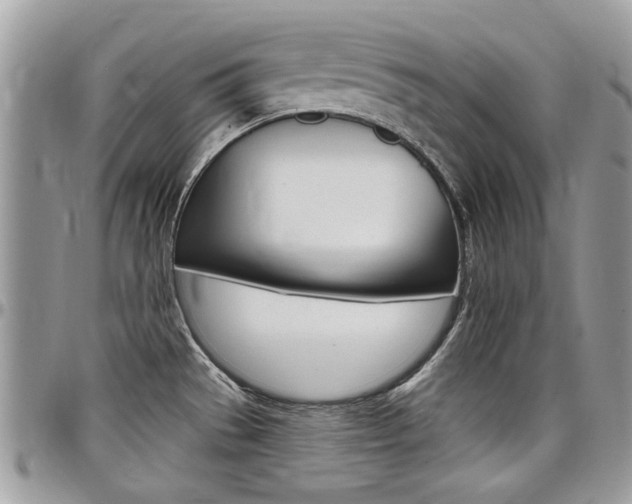 X0000097971529200803241008