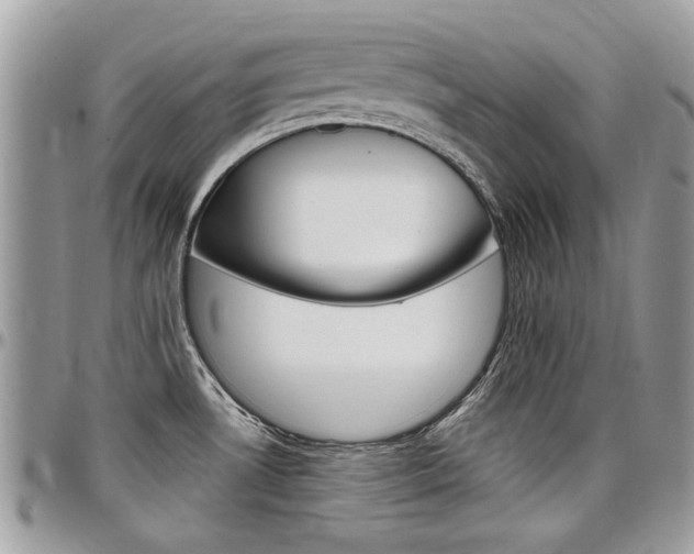 X0000097971530200803241008
