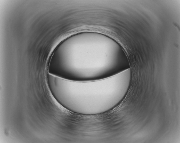 X0000097971531200803241008