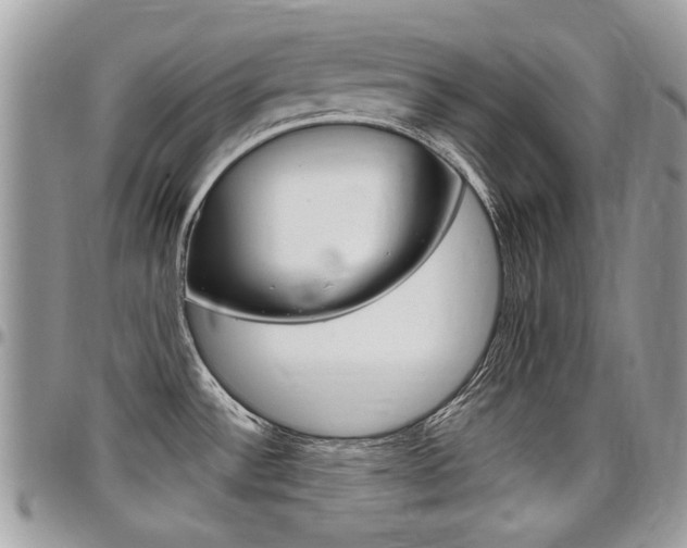 X0000097971532200803241008