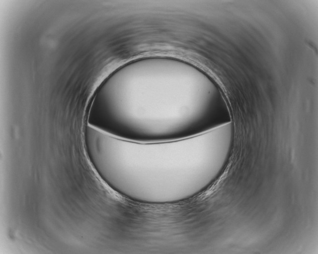 X0000097971533200803241008