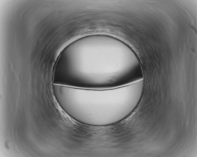 X0000097971534200803241008