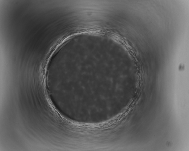 X0000097970002200803241246