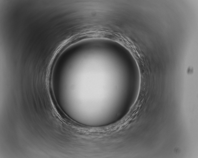 X0000097970003200803241246