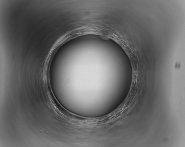 X0000097970004200803241246