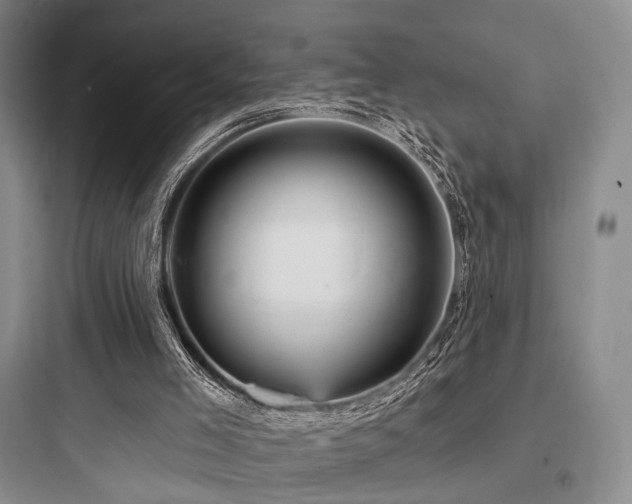 X0000097970005200803241246
