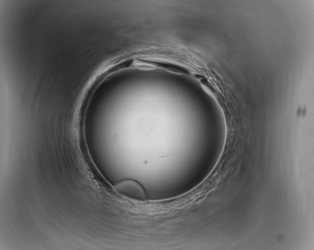 X0000097970006200803241246