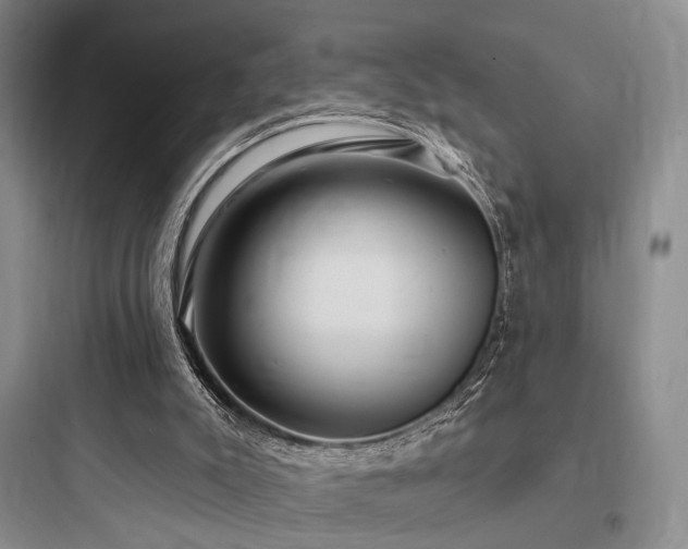 X0000097970007200803241246