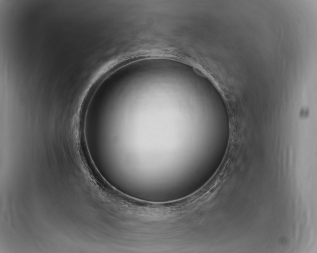 X0000097970008200803241246