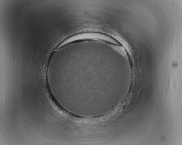 X0000097970009200803241246