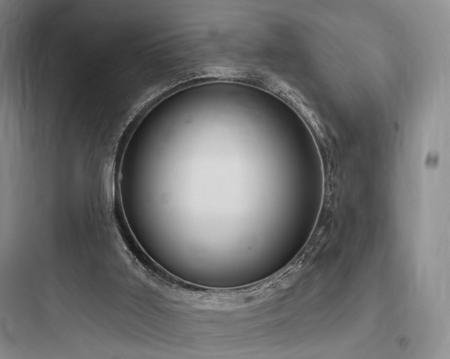 X0000097970011200803241246