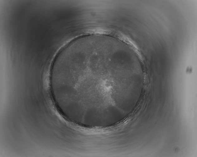X0000097970012200803241246