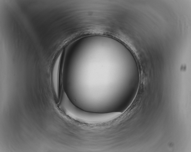 X0000097970013200803241246