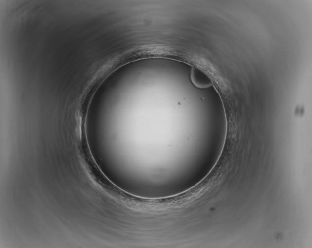 X0000097970014200803241246