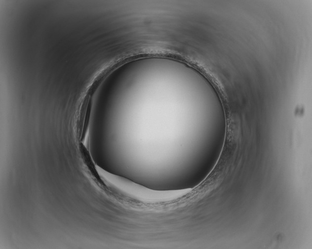 X0000097970015200803241246