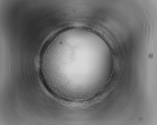 X0000097970016200803241246