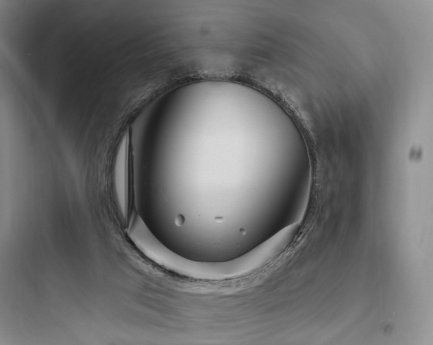 X0000097970017200803241246