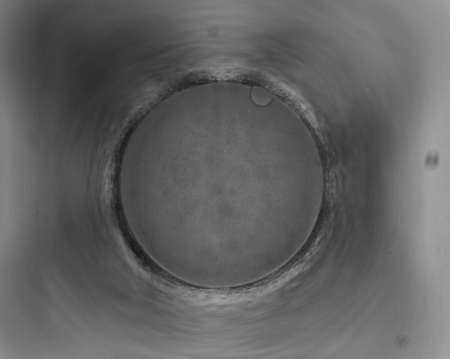 X0000097970018200803241246