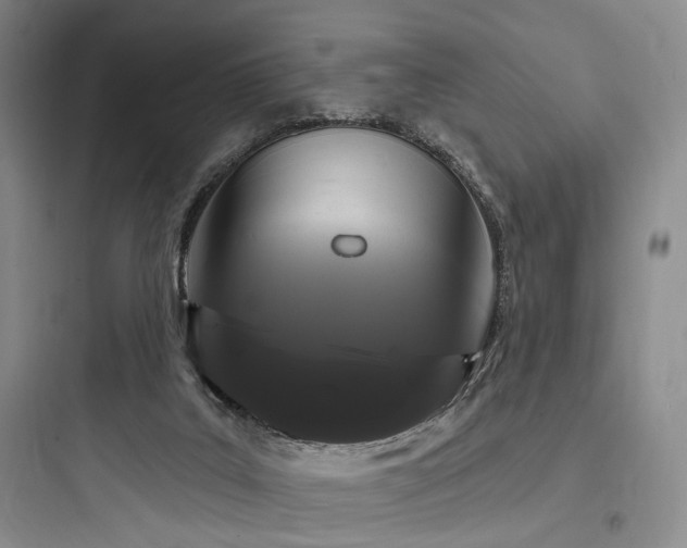 X0000097970019200803241246