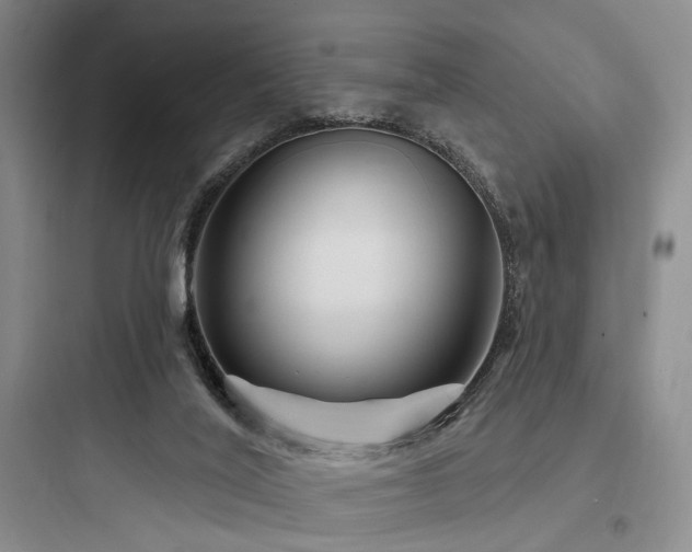 X0000097970020200803241246