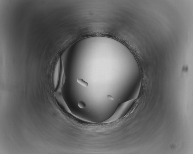 X0000097970021200803241246