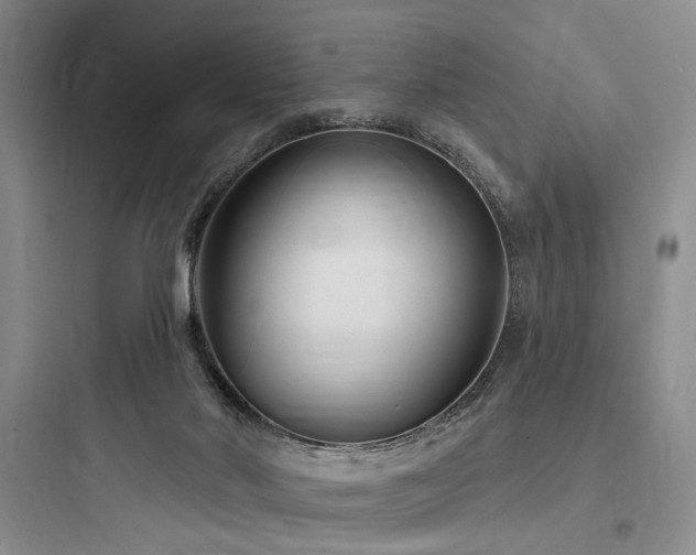 X0000097970022200803241246