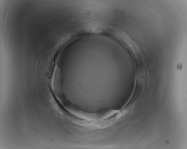 X0000097970023200803241246