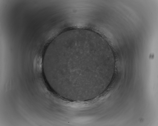 X0000097970024200803241246
