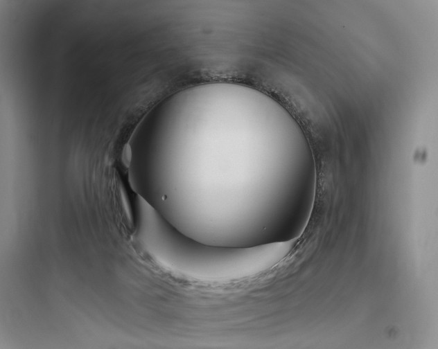 X0000097970025200803241246