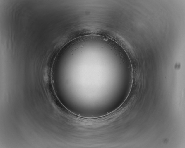 X0000097970026200803241246