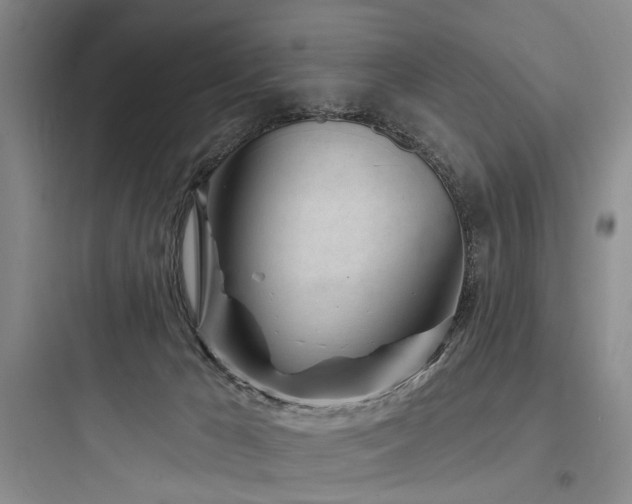 X0000097970029200803241246