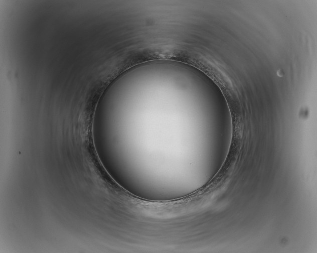 X0000097970030200803241246