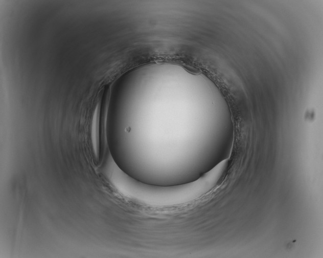 X0000097970033200803241246