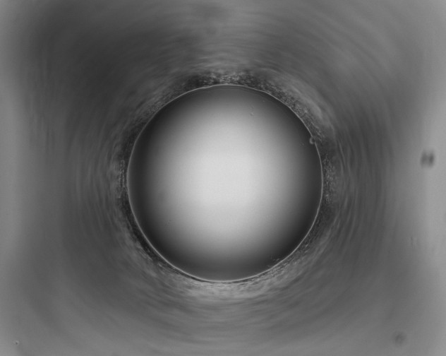 X0000097970034200803241246