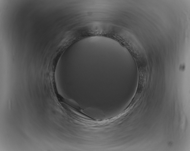 X0000097970035200803241246