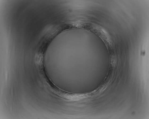 X0000097970036200803241246