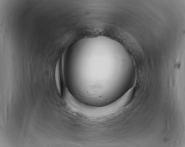 X0000097970037200803241246