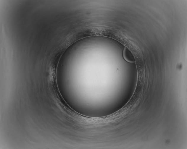 X0000097970038200803241246