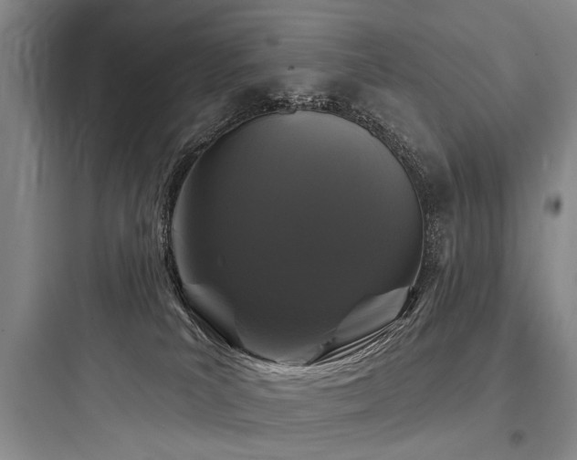 X0000097970039200803241246